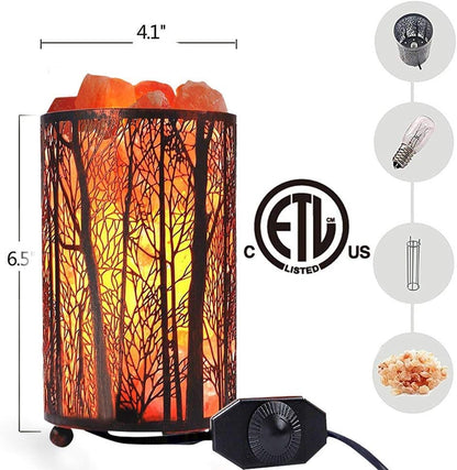 Salt Lamps, Natural Himalayan Salt Lamp, Forest Salt Lamp with Dimmer Switch, Salt Crystal Night Lights, Retro Metal Basket Decor Desk Lamp with Extra 25W Lamp Bulbs (Retro Red)